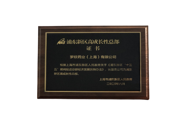 浦东新区高成长性总部